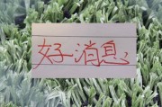 注册平台-也是好消息！申花单场独造三球王牌 很有可能第四轮复出